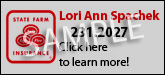 Local Insurance Provider Sponsorship Banner